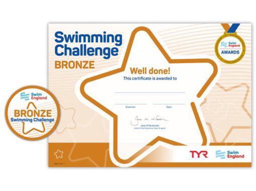 Bronze Challenge Award