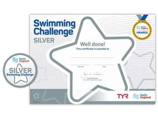 Silver Challenge Award