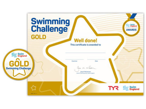 Gold Challenge Award
